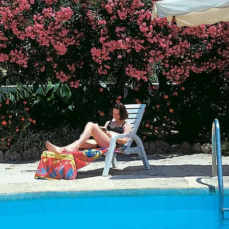 Hoposa Pollensamar *