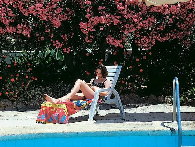 Hoposa Pollensamar *